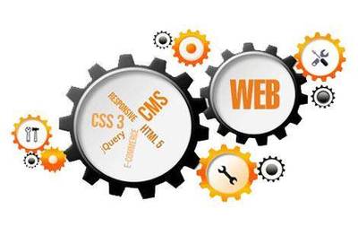 營(yíng)銷型新站快速收錄與排名優(yōu)化 CMS網(wǎng)站的簡(jiǎn)易指南